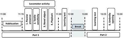 Elevated Sensitivity to Tactile Stimuli in Stereotypic Horses